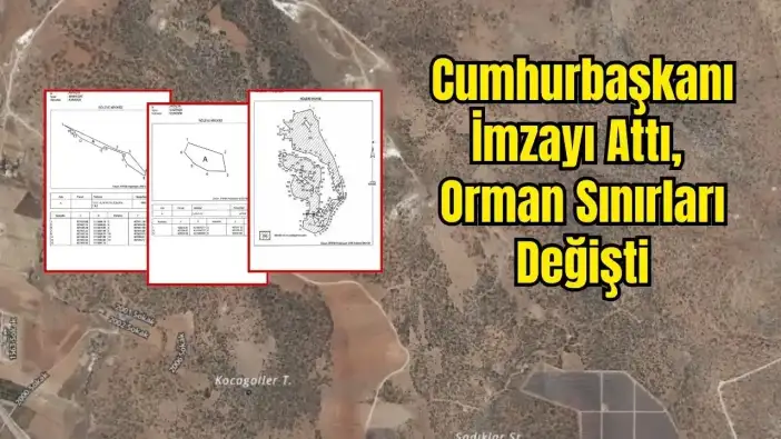 Manavgat, Gazipaşa, Korkuteli: Antalya Dahil 21 İlde Araziler Orman Alanından Çıkarıldı