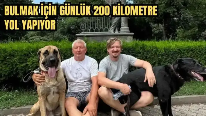 Antalya'da Yaşayan Rus Ailelerden Kaybolan Köpeklerini Bulana 100 Bin TL Ödül!