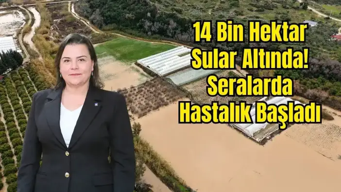 Antalya Tarımında Afet Bilançosu: Zarar 3 Milyar Lirayı Bulabilir!