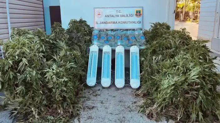 Aksu'da Kilolarca Skunk Ele Geçirildi