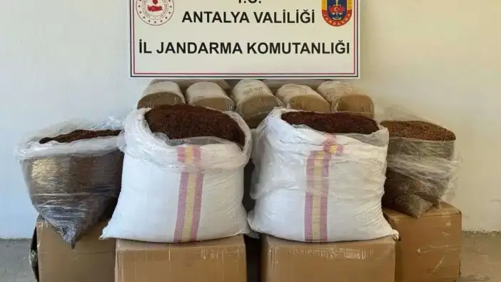 Gazipaşa'da Otobüsten Yarım Ton Kaçak Tütün Çıktı
