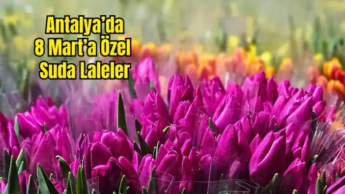 Antalya’nın Gururu: Suda Laleler 8 Mart Kadınlar Günü'ne Hazır