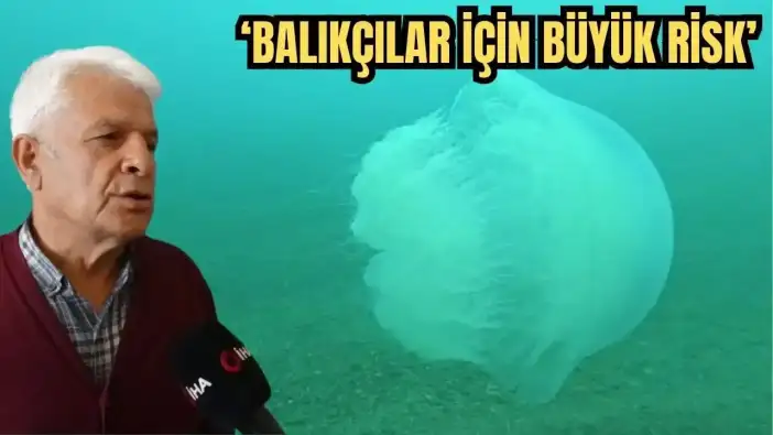 Uzman Uyardı! Antalya Körfezi’nde Dev Denizanaları Alarmı Veriyor