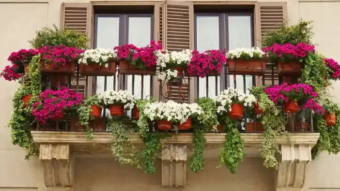 Alanya’da Güzel Balkon ve Bahçe Yarışması Başladı