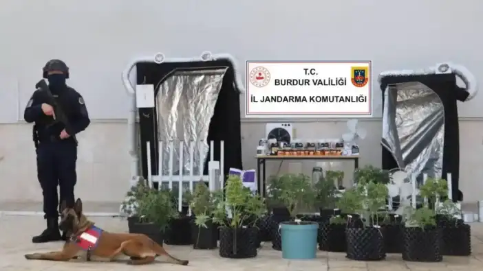 Burdur’da İklimlendirme Sistemiyle Kenevir Yetiştiren Şüpheli Tutuklandı