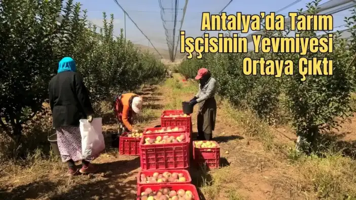 Tarımın Başkenti Antalya'da Ücret Çelişkisi