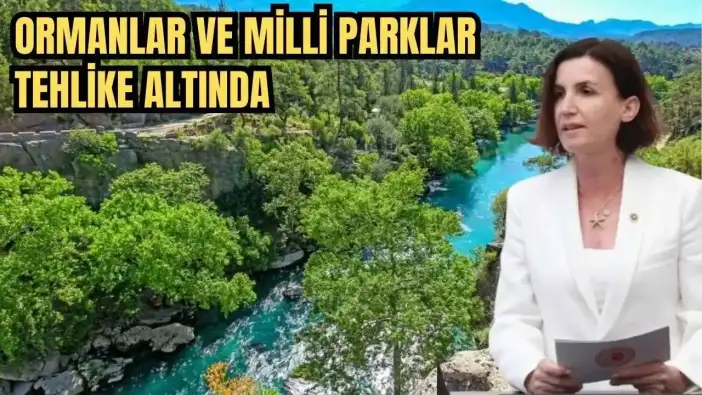 Antalya Milletvekili Aliye Coşar’dan Milli Parklar Kanununa Tepki!