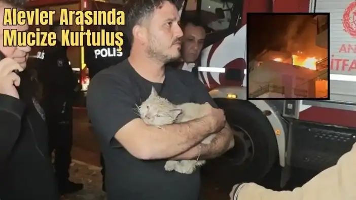 Kepez’de Alevlerin Arasından Kurtulan Kediyi İtfaiye Hayata Bağladı