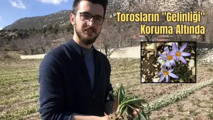 Antalya’dan 7 Milyon Kardelen Soğanı Avrupa’ya İhraç Edilecek