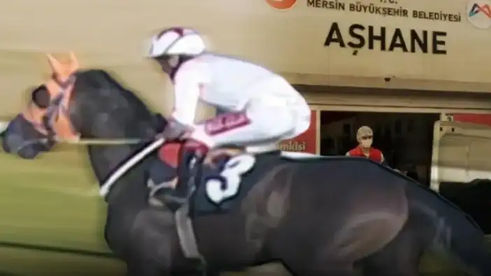Mersin’de Şampiyon Atı Kavurma Yaptılar! At Etini ‘Dana’ Diye Halka Yedirdiler
