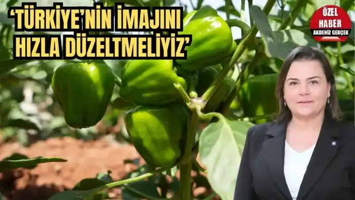 İhraç Edilen Biberler Bulgaristan’dan Döndü! ZMO Antalya Şube Başkanı Kaçın’dan Uyarı