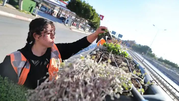 Antalya 4 Milyon Çiçekle Süsleniyor