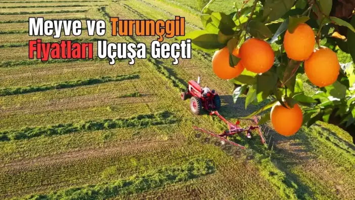 Tarım Üreticisinin Maliyet Yükü Artıyor