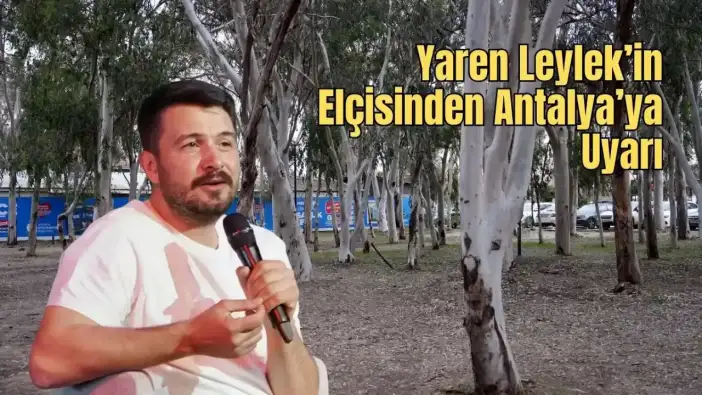 Alper Tüydeş: “Antalya’da Okaliptüs Ağaçları Köklenmeli"