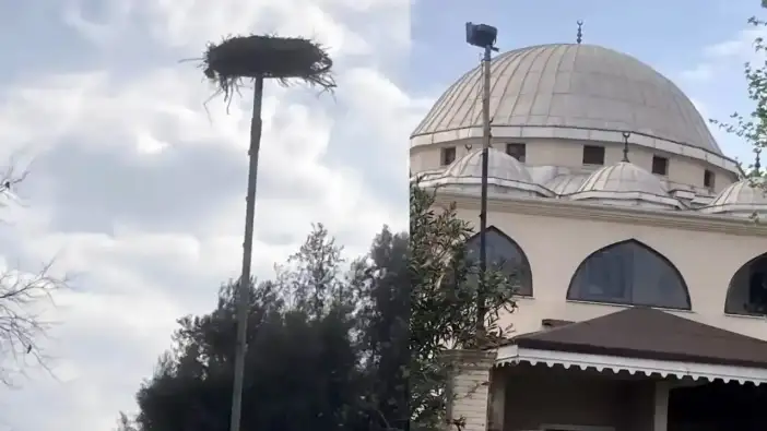 Serik’te Köy Camisindeki Leylek İçin Çağrı