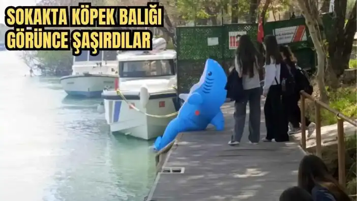 Manavgat’ta Köpek Balığı Kostümlü Genç Gündem Oldu! Vatandaşların İlgi Odağı Oldu
