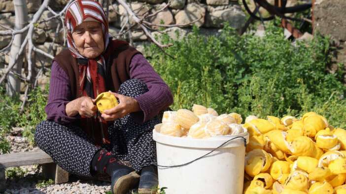 Kozan’da Çöpe Giden Turunç Altına Dönüştü!