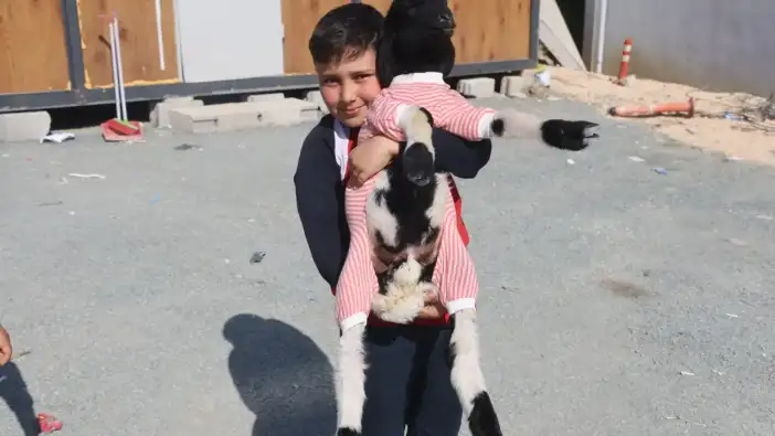 Hatay’ın Maskotu 'Boncuk'