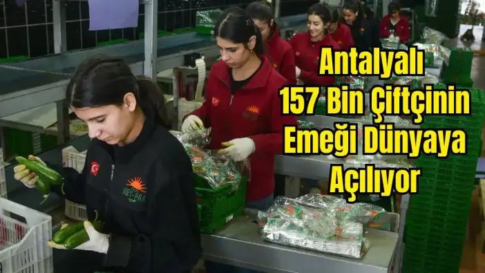 Günde 3 Bin Ton Ürün! Antalya Hali 64 Ülkeyi Besliyor