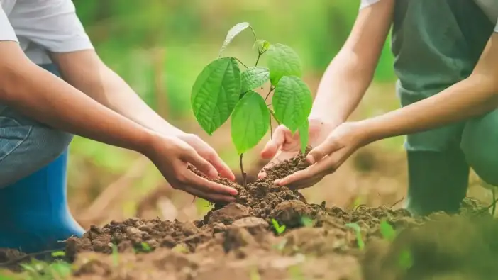 Muratpaşa’da Yeşil Gelecek İçin Fidanlar Dikilecek