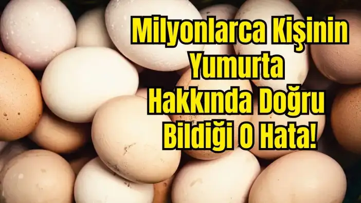 Kabuğu Kirli Yumurta Yıkanmalı mı? Bakanlık Son Noktayı Koydu!