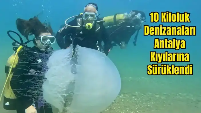 Poyraz Etkili Oldu, Akdeniz'in Devleri Antalya Körfezi'ni Kuşattı