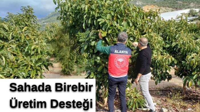 Antalya'da Üreticiye Sahada Destek