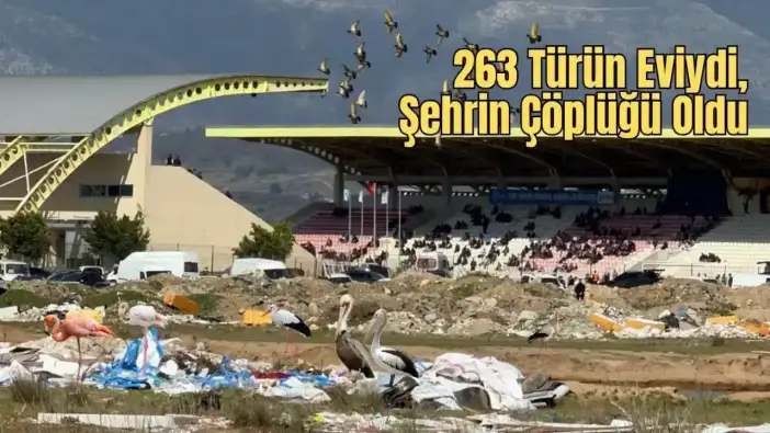 Manavgat’ın Kuş Cenneti Moloz Dağına Döndü