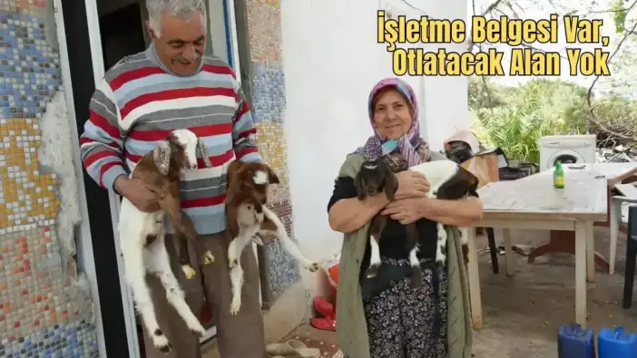 Konyaaltı’nda Bir Şikayet Yarım Asırlık Üretimi Durdurdu