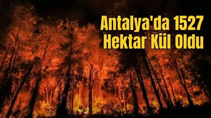 Antalya’nın Ormanları Tehdit Altında, Yangınlar Artıyor