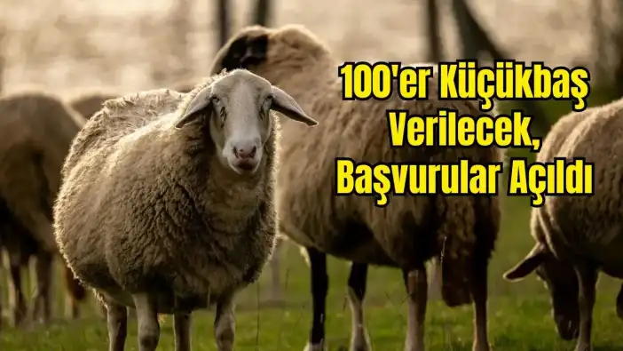 Antalyalı Üreticilere Küçükbaş Destek Projesi Çağrısı