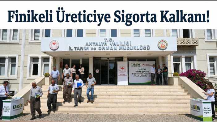 Finikeli Üreticilere Sigorta Kalkanı: TARSİM Uzmanları Sahaya İndi!