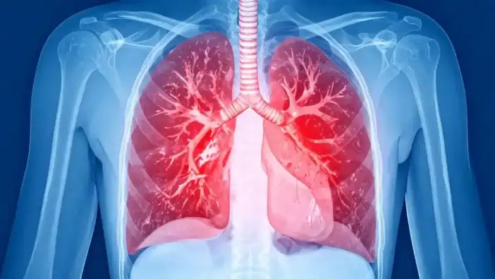 Genç Yaşta Sigaraya Başlayanlar Dikkat!