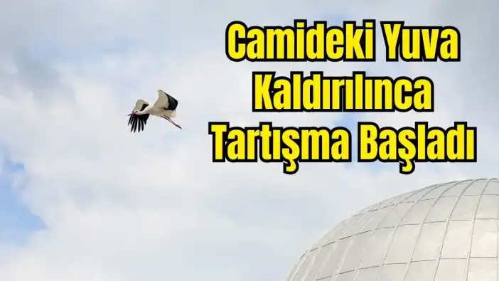 Serik Dikmen’de Leylek Yuvası Krizi Tatlıya Bağlandı