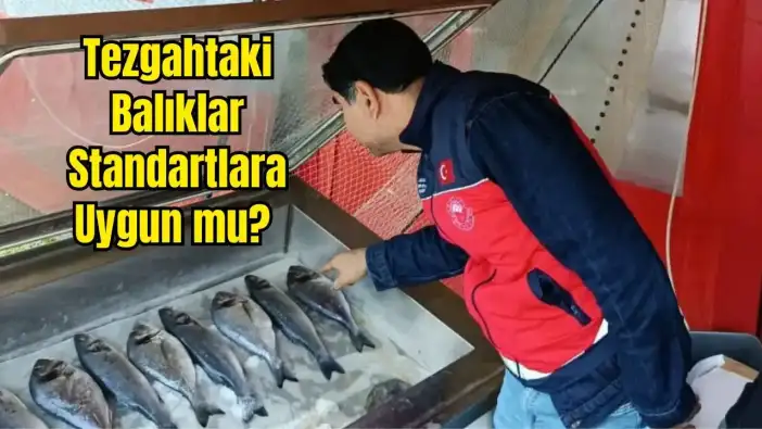 Alanya ve Gündoğmuş'ta Su Ürünleri Mercek Altında!