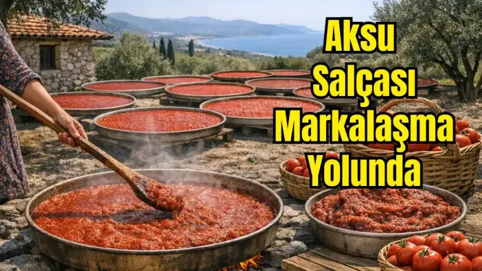 Akdeniz Güneşinde Demlenen Aksu Salçası Coğrafi İşaretle Tescillenecek
