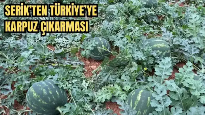 Antalya’da Yaz Erken Geldi! Karpuzun Tezgaha İneceği Tarih Belli Oldu
