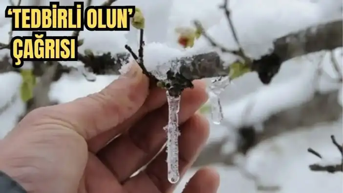 Antalya'ya Zirai 'Don' Geliyor! Valilik’ten Çiftçilere Kritik Uyarı