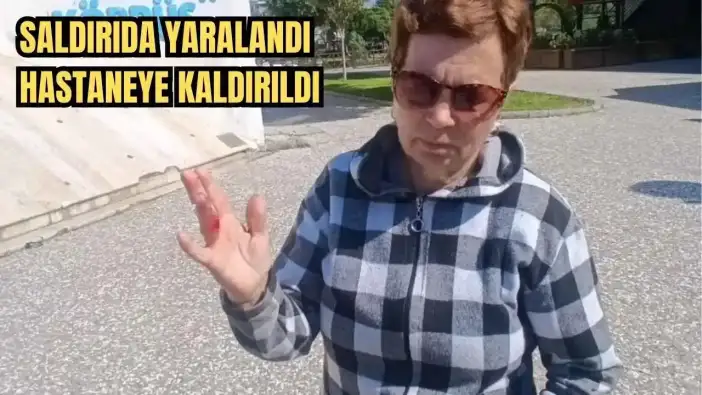 Manavgat Irmağı Kenarında Yürüyüş Kabusa Döndü! Köpeğine Başıboş Köpek Saldırdı