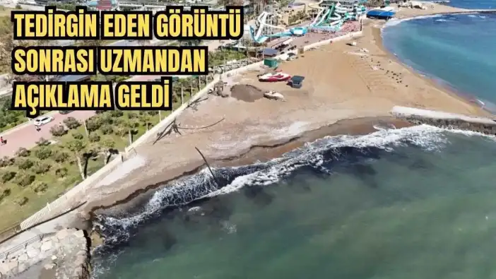 Alanya'da Sahil Siyaha Büründü! Vatandaşlar Panik Olurken Gerçek Bambaşka Çıktı