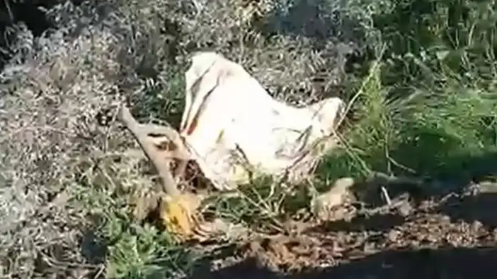 Alanya’da Feci Kaza! Şarampole Devrilen Kamyondan Sağ ÇIkamadı