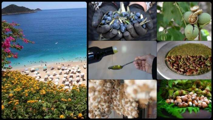 Coğrafi İşaretlerin Kalbi Antalya’da Atacak: Uluslararası Dev Zirve Başlıyor!