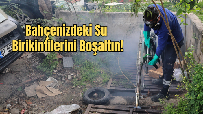 Antalya’da Haşere Nöbeti: Ekipler Aralıksız Sahada