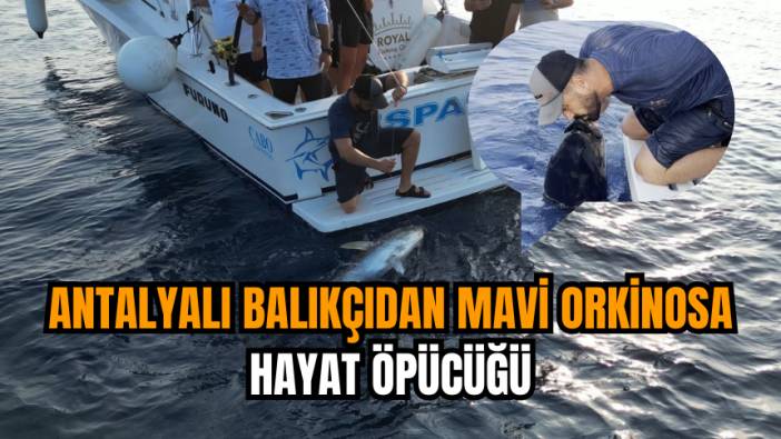 Antalyalı balıkçıdan mavi orkinosa hayat öpücüğü