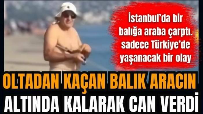 Balıkçının oltasından kaçan balık trafik kazasında öldü