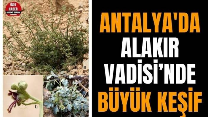 Antalya'da Alakır Vadisi’nde büyük keşif