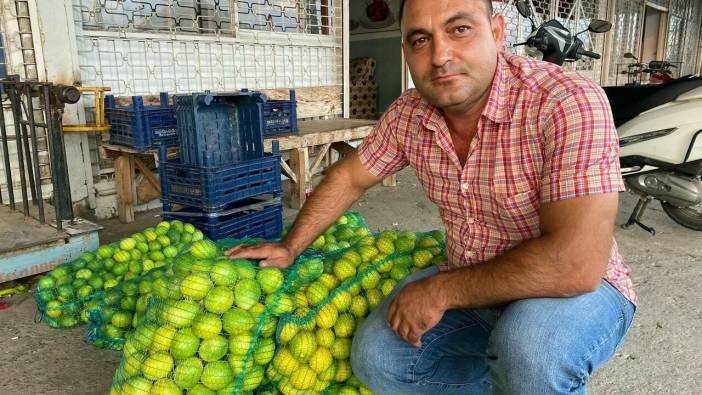 Limon dalında kaldı ! Fiyat düştü alıcı yok