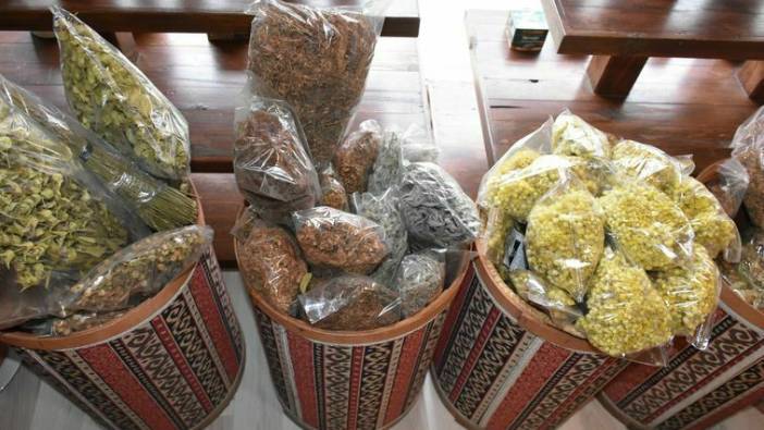 Aktara kulak verin! Kış hastalıklarına hangi bitkiler iyi geliyor?