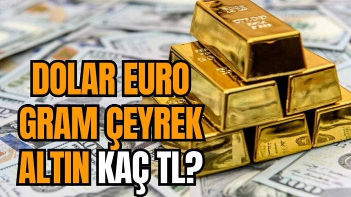 Dolar euro gram çeyrek altın kaç TL? 10 Aralık 2023