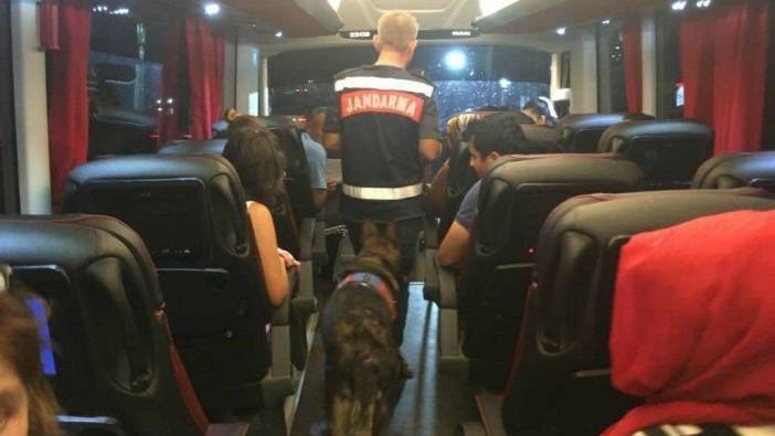 Uy*şturucuyla seyahat ederken narkotik köpeğinden kaçamadı